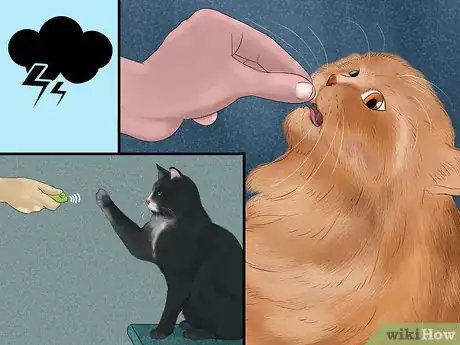 Image titled Identify and Treat Noise Phobias in Cats Step 15