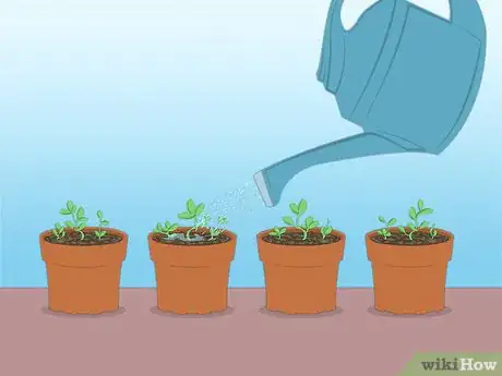 Image titled Propagate Azaleas Step 46