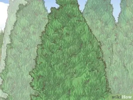 Image titled Hang Heavy Ornaments on a Real Tree Step 8