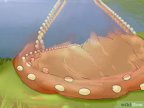 Image titled Harvest Catfish Step 7