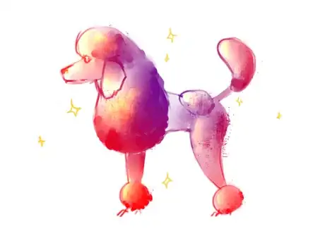 Image titled Poodle8.png