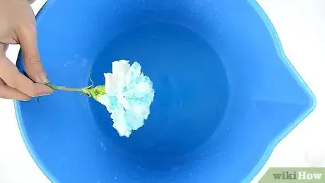 Image titled Dye Carnations Step 17