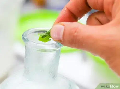 Image titled Make Almond Milk Taste Better Step 11