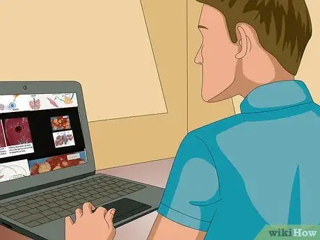 Image titled Study and Understand the Functions of the Liver in Humans Step 5