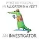 An_Investigator