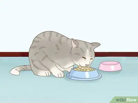 Image titled Look After Pets During Fireworks Step 7