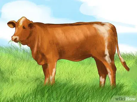 Image titled Prevent Parasites in Horses Step 8