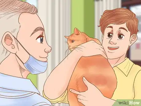 Image titled Be Responsible when You Have a Cat Step 11