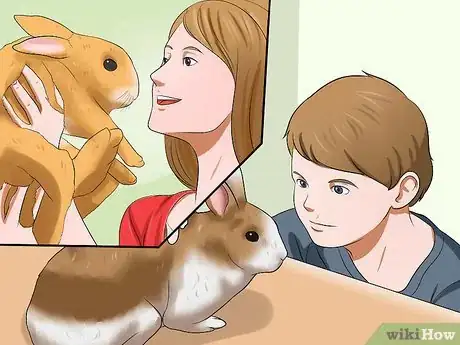 Image titled Know if You're Ready to Care for a Bunny Step 6