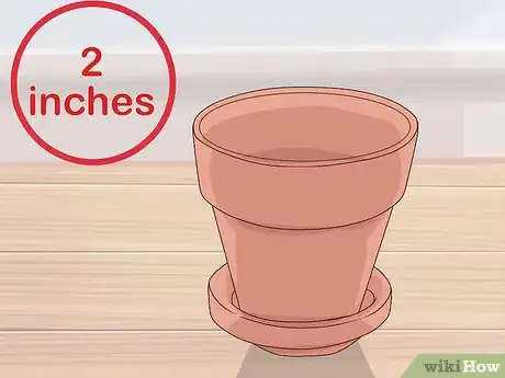 Image titled Grow African Violets Step 6