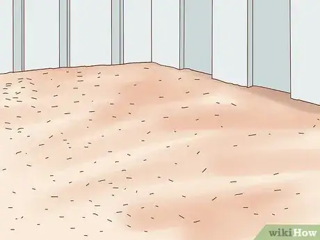 Image titled Transport a Horse Step 4