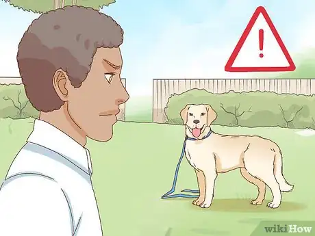 Image titled Pet a Dog Step 2