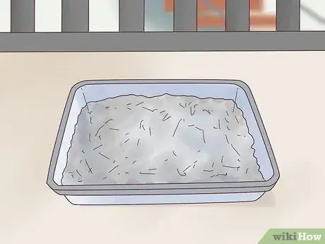 Image titled Care for a Manx Rat Step 2