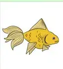 Draw Goldfish