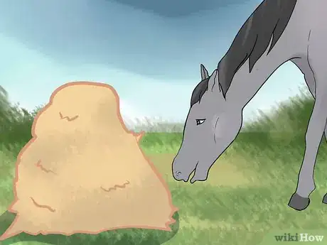 Image titled Take Care of a Horse in Hot Weather Step 16