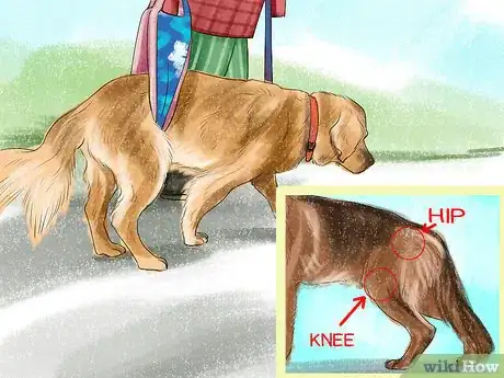 Image titled Know if a Senior Dog Is Right for Your Family Step 2