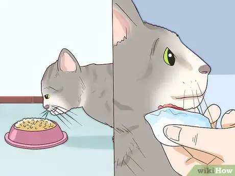 Image titled Treat Feline Acne Step 14