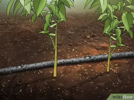 Image titled Reduce Your Carbon Footprint in the Garden Step 11