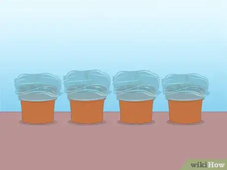 Image titled Propagate Azaleas Step 43