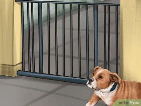 Image titled Set Ground Rules for Your Dog Step 14