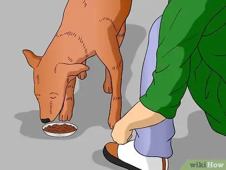 Image titled Keep Your Dog in Shape Step 8