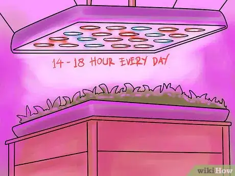 Image titled Grow Vegetables With Grow Lights Step 5