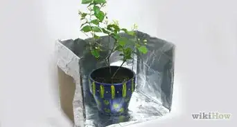 Use Aluminum Foil for Gardening