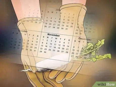 Image titled Plant a Fall Vegetable Garden Step 1