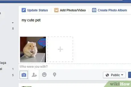 Image titled Make Cute Pictures of Your Hamster Step 15
