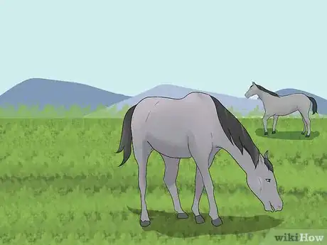 Image titled Maintain Horse Paddocks Step 12