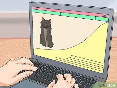 Image titled Adopt a Special Needs Cat Step 2