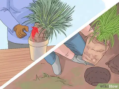 Image titled Plant Landscape Grasses Step 16