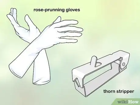 Image titled Know What Gardening Tools You Need Step 10