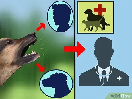 Image titled Deal with House Soiling in Older Dogs Step 12