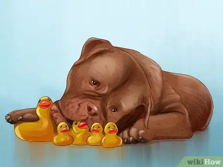 Image titled Keep an Indoor Dog Active Step 2