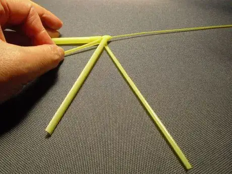 Image titled Shachi16_834.JPG