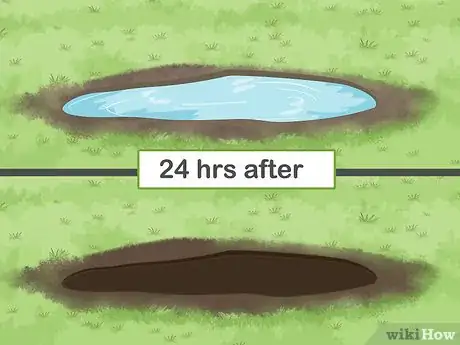 Image titled Plant a Shrub Step 5