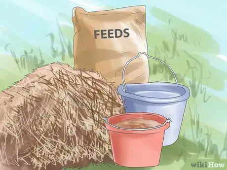 Image titled Prepare for a Horse Show Step 9