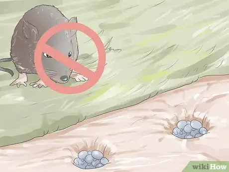 Image titled Grow Tulips Step 6