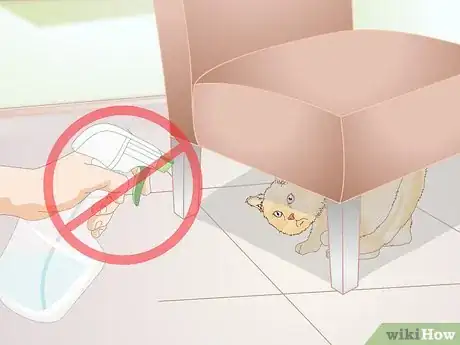 Image titled Use a Spray Bottle on a Cat for Training Step 9