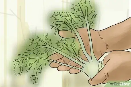 Image titled Become an Agricultural Scientist Step 4