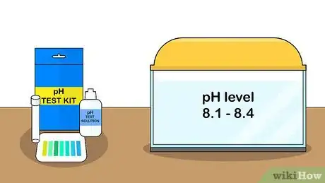 Image titled Grow Ulva Algae Step 5