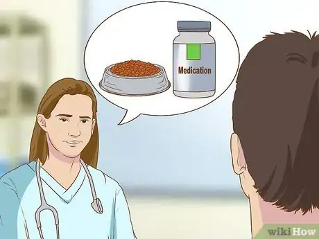 Image titled Get Veterinary Hospice Care for Your Dog Step 7