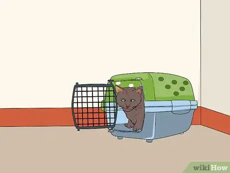 Image titled Adopt a Special Needs Cat Step 6