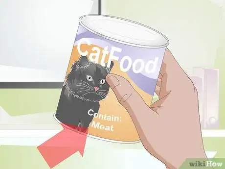 Image titled Keep a Cat Healthy Step 1