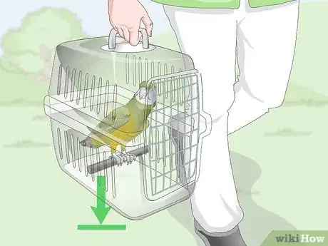 Image titled Deal with a Fearful or Stressed Senegal Parrot Step 21