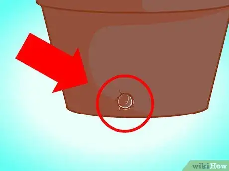 Image titled Transplant a Jade Plant Step 3