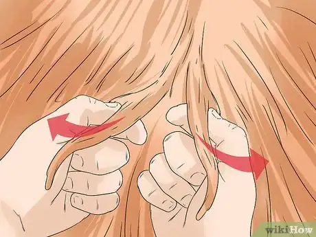 Image titled Identify a Puli Step 9