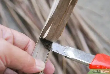 Image titled Make a Broom Using a Coconut Leaf Step 5
