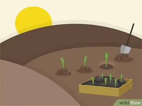 Image titled Plant Arugula Step 7